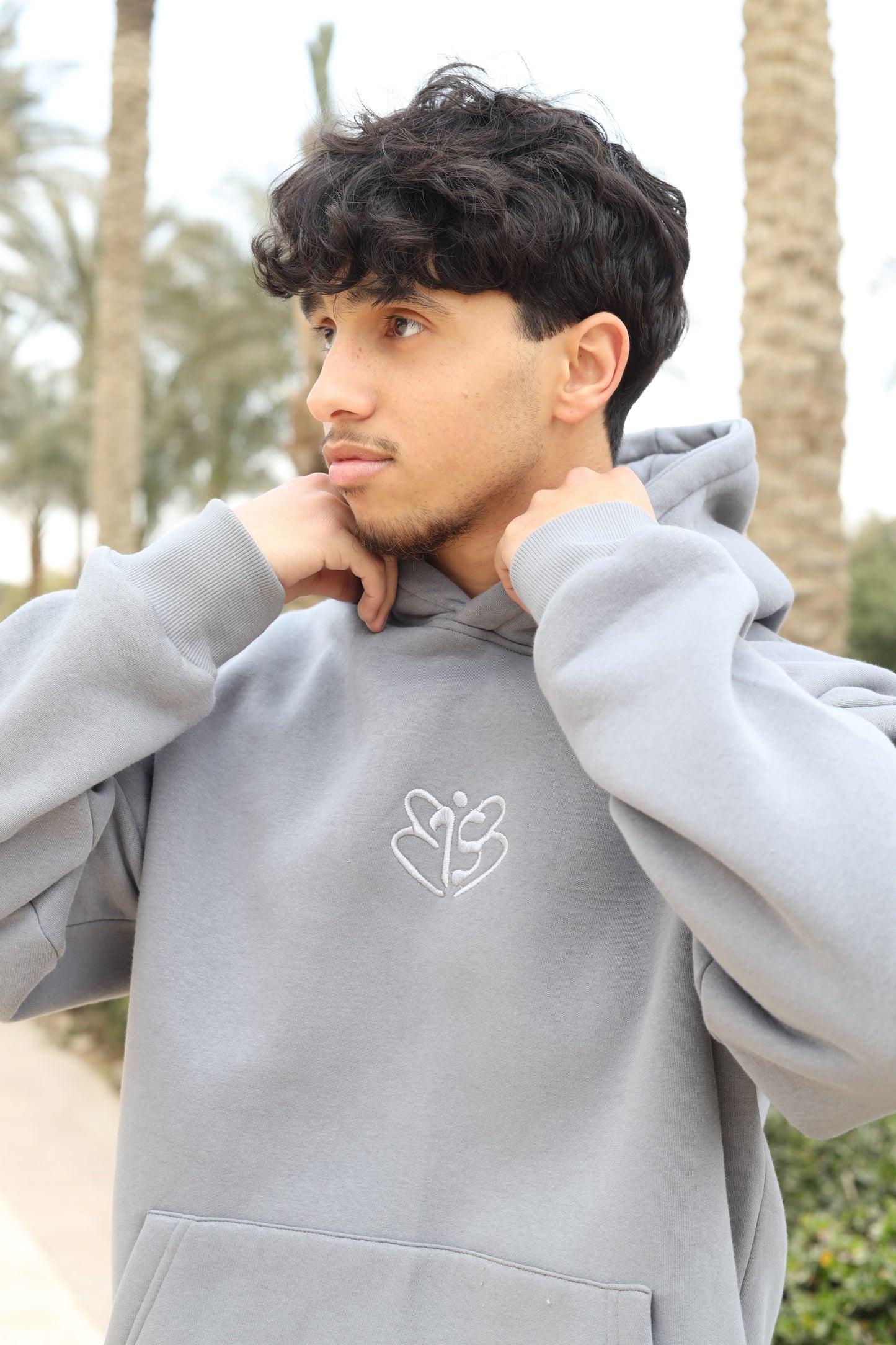 Signature Embroidered Hoodie In Grey